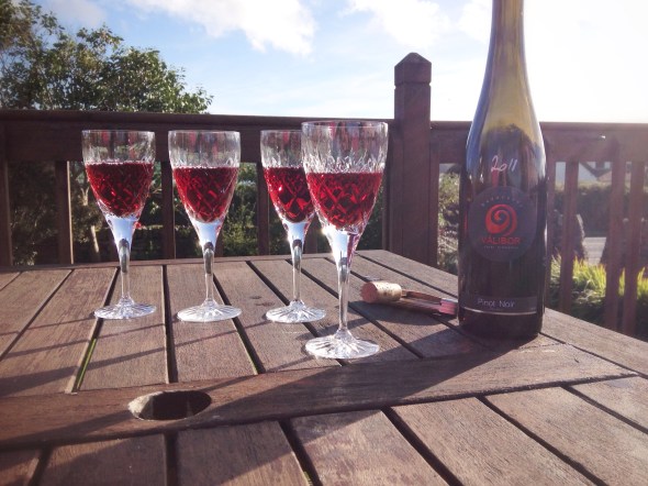 Hungarian Wine and Irish Sunshine - an unusual mix.