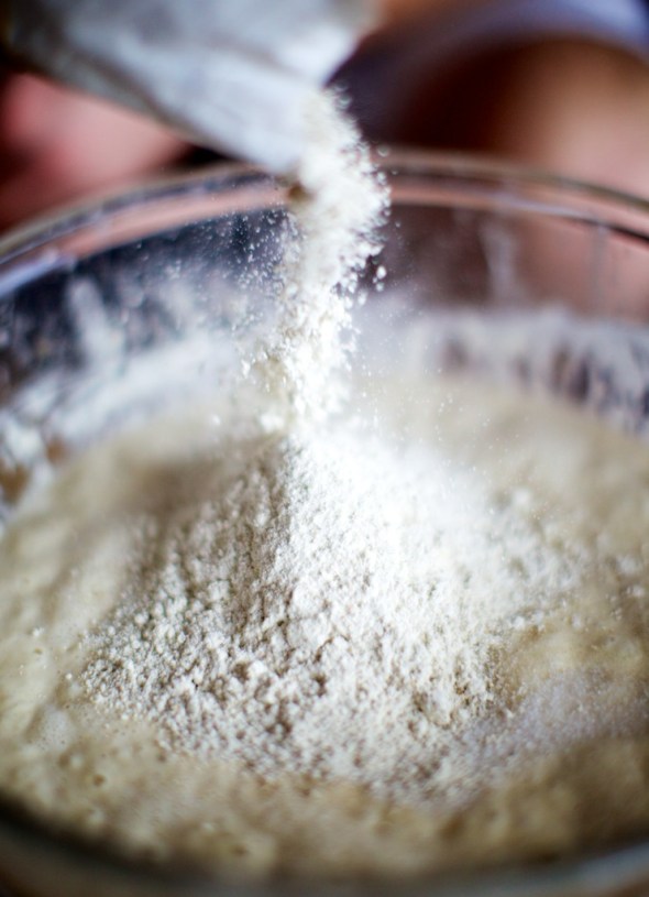 And flour... I tend to make the sponge with white flour (and also feed Frank with plain white) and then use different flours added at this second stage of making the dough. Mixtures of white, wholemeal, rye are great, and sometimes add seeds as well. 