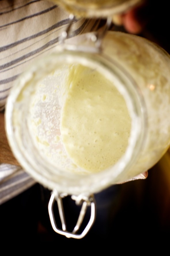 Frank (the sourdough starter) ready for action 