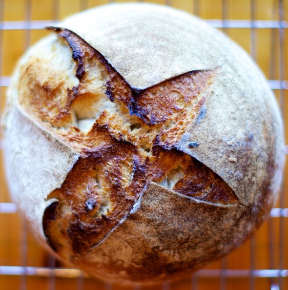 Aerial view of the loaf (the banneton gives nice little rings where the rye flour sticks to the bread as it rises or you could get creative with your tea towel placement in the colander). 
