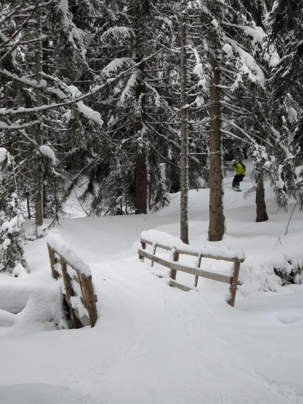 (1) The Secret Fairy Trail