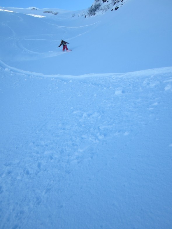 Jules cutting fresh lines