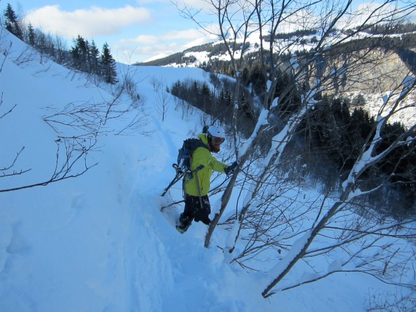 The third tree Rob has had to apologise to. No big trees yet though, thankfully.