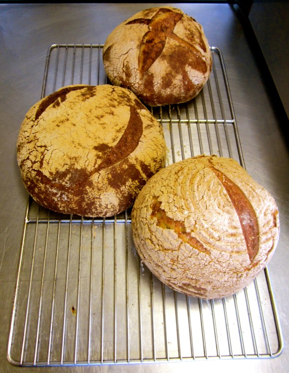 The finished product in the kitchen of Le Bec Jaune (Top to bottom - rye/white, white/spelt/rye/buckwheat and white)